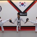 경희대 에이스 태권도장 이미지