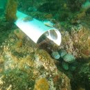 수산3리 이미지