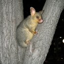 하이드파크 이미지