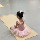 천안발레 이온무용학원 수업후기-! 유아발레배우러 매일 가고싶대요❤️