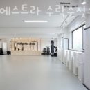 파라에스트라 이미지