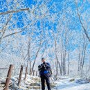 계방산 상고대 (2022. 1. 16) 이미지