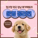 메가약국 이미지