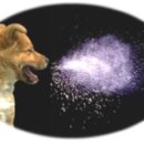 김해동물메디컬센터 이미지