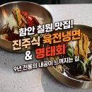 성내길 | 함안 칠원 맛집 진주메밀냉면, 감칠맛 가득한 진주식냉면과 메밀찐만두 후기