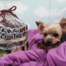 매화골농장 이미지