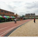 홍성초등학교 Daum카페