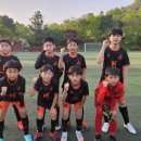 화성유소년축구클럽 이미지