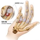 수지21세기의원 이미지