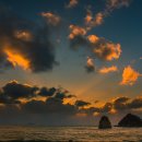 바다 어울림 이미지