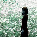 포토갤러리 이미지