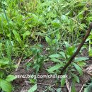 죽림2리마을회관 이미지