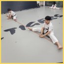 KTIGERS 동탄역관 태권도장 | 동탄태권도 진정한 태권도, K타이거즈 동탄역관