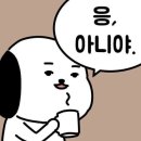 영복싱 클럽 이미지