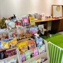 디어 마이 독 이미지