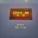 해도동 바다섬 | [202204] 울릉도 여행기-(1) 사실 울릉도를 가지 못한 날