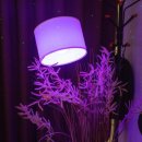 관악-현장-관악-565 | 공황장애치료 및 우울증 치료 :: 지티에스최면심리연구소 전문의가 함께하는 심리치료