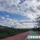 직업상담사 문제풀이 - 노동관계법규 이미지