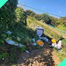 송백공인중개사사무소 이미지