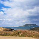 강연대 행정사 이미지