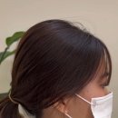청솔헤어라인 - 김해시 | 청솔헤어라인