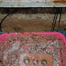 좌1동우체국 이미지