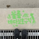 뉴엘도라도 | 울릉도 가는 방법 총정리｜배편 가격, 소요시간, 출발항구 한눈에 보기