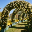 백제카센터 이미지