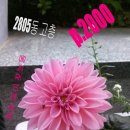 롯데365공인중개사사무소 이미지