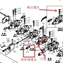 용장농장 Daum카페