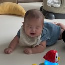 뒹굴댕굴 | 육아기록 / 5개월 아가 일상 #이유식준비 #양치 #놀이 #발달