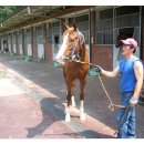 석청목장 이미지