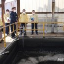 여수축산 이미지