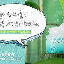 곰태지 이미지
