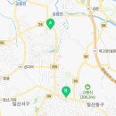 중앙가마솥왕족발 이미지