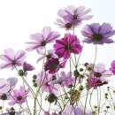 남해향토역사관 이미지