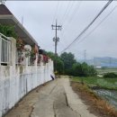 팔봉초등학교 이미지