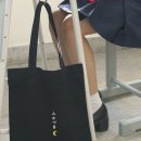 그레이즈문 Daum카페