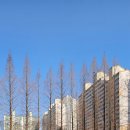 월영연못공원 이미지