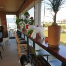 퍼피빌리티 이미지