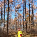 평화목장1 이미지