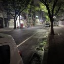 바오김밥 신기점 이미지