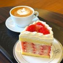 샤인펫 (Shine pet) | 딸기케이크 맛집이었던 부산 광안리 시즌즈 내돈내산 애견동반후기