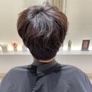 우디헤어 이미지