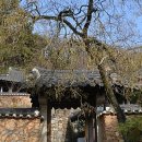 기산마을 정자 옆 이미지