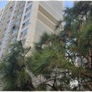 수부동산중개 이미지