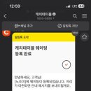 제주노조미 이미지