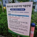 도쿄팡야 판교도서관점