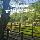 금산여행 깊은 숲속에서 즐기는 캠핑장 금산산림문화타운