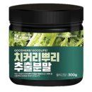 조은뿌리